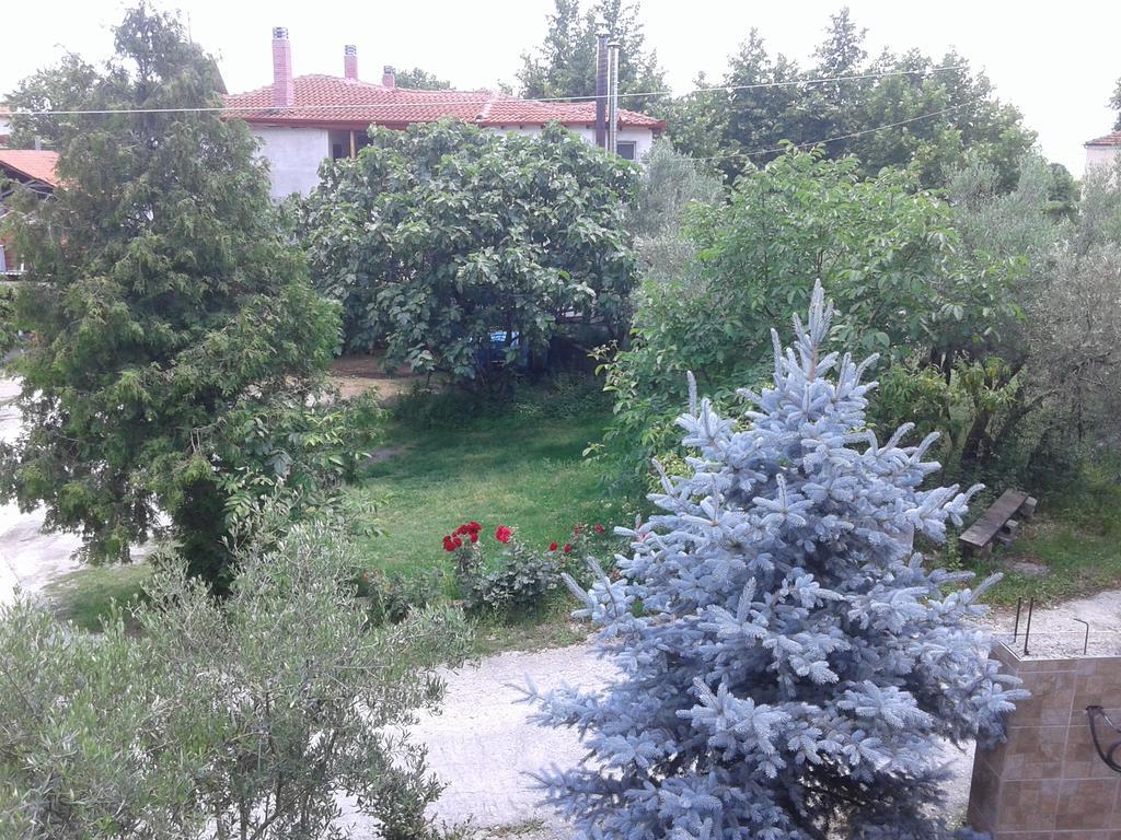 Guesthouse Adonis Като-Лутраки Экстерьер фото